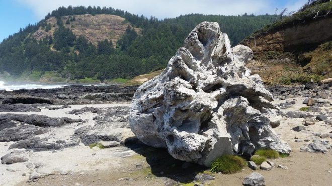 11701038_10153456042642224_2776211027193426952_n