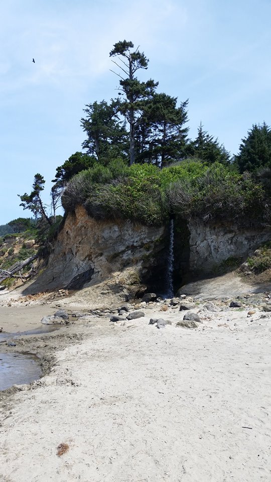 11737816_10153454233207224_8891002542383100294_n